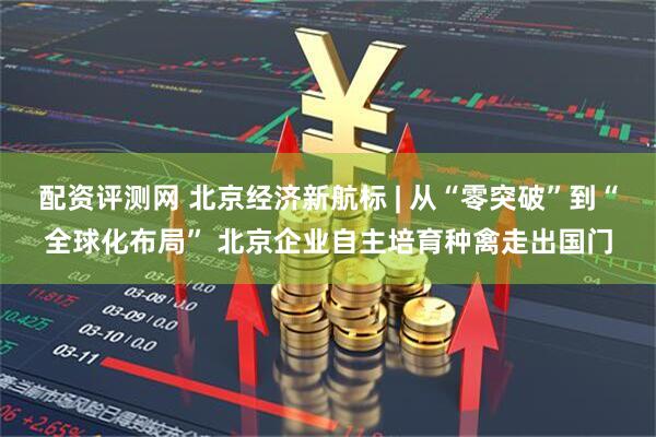 配资评测网 北京经济新航标 | 从“零突破”到“全球化布局” 北京企业自主培育种禽走出国门