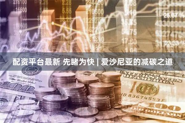 配资平台最新 先睹为快 | 爱沙尼亚的减碳之道