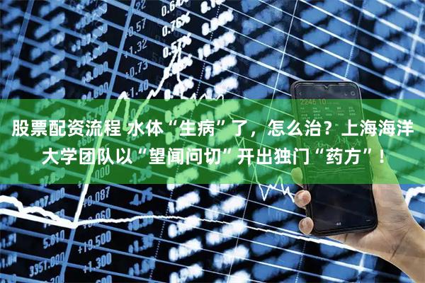 股票配资流程 水体“生病”了，怎么治？上海海洋大学团队以“望闻问切”开出独门“药方”！